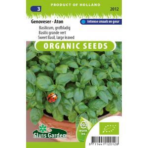 Basilicum zaden Genoveser - Aton BIO