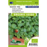 Basilicum zaden Genoveser - Aton BIO - thumbnail