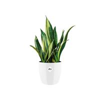 Elho brussels diamond bloempot rond 25 cm wit - thumbnail