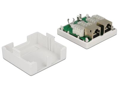 Delock 86269 Netwerkdoos Inbouw (in muur) Inzet met centraalstuk en frame CAT 6 2 poorten Wit