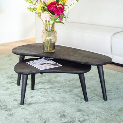 By-Boo Organische Salontafel 'Guus' Mangohout, Set van 2 stuks, kleur zwart