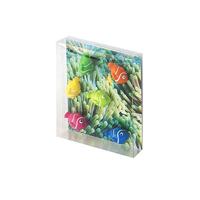 Trendform Magnet Nemo - set van 6 verschillende - thumbnail