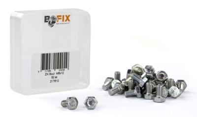 Bofix zeskantbout m6x10 (50st)