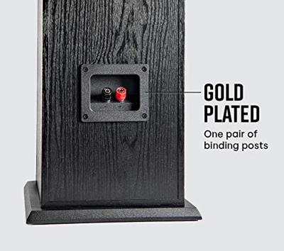 Polk Audio T50 Luidspreker, Zuilluidspreker voor Home Cinema en Muziek, Speaker met 20-150 Watt, Universele Poolklemmen, Ondersteunt Dolby, Staande Speaker, 30 kHz, Diepe Bas, Zwart