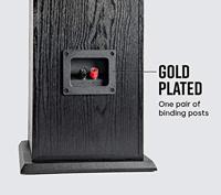 Polk Audio T50 Luidspreker, Zuilluidspreker voor Home Cinema en Muziek, Speaker met 20-150 Watt, Universele Poolklemmen, Ondersteunt Dolby, Staande Speaker, 30 kHz, Diepe Bas, Zwart - thumbnail