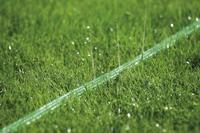 Gardena Sproeierslang 15m - Flexibel, Uitbreidbaar, Groen - Tuinirrigatie met 10 Jaar Garantie - thumbnail