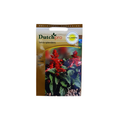 Dutch Pro Dutch Pro - Vuursalie