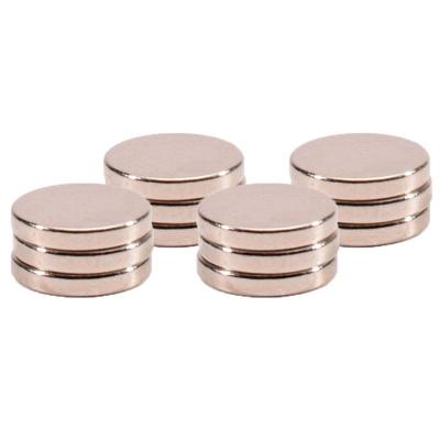 12x Ronde Koelkast/whiteboard Magneten 6 Mm Zilver - Magneten 12x Ronde Koelkast/whiteboard Magneten 6 Mm Zilver - Magneten