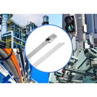 TRU COMPONENTS TC-12647556 Stalen kabelbinder 200 mm 4.6 mm AISI 304 100 stuk(s) - thumbnail