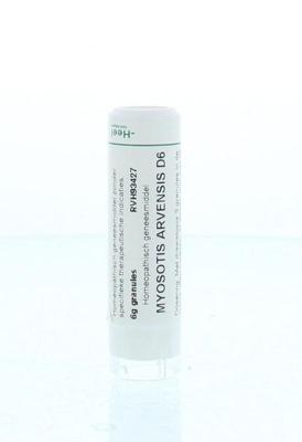 Homeoden Heel Myosotis arvensis D6 6 Gram