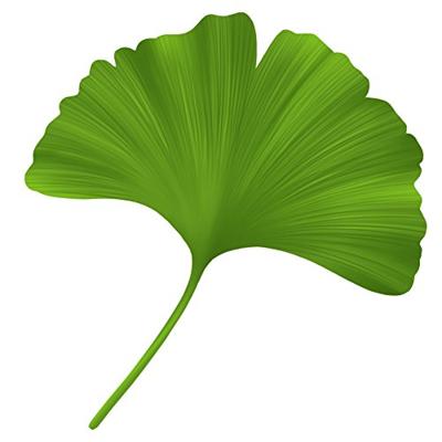 Logona Mann aftershave (100 ml)