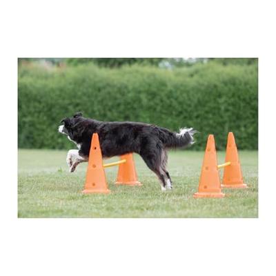 Trixie dog activity hordenset