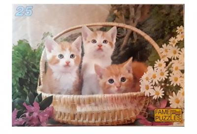 Jins legpuzzel Poesjes junior 25 stukjes