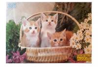 Jins legpuzzel Poesjes junior 25 stukjes - thumbnail