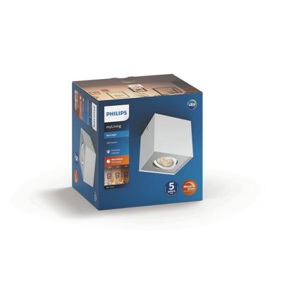 Philips Spot Box 1 lichts wit