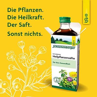 Paardenbloem BIO - thumbnail