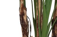 Decoratieve plant DKD Home Decor (90 x 90 x 200 cm) - thumbnail