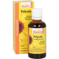 Bloem Polycula Druppels - thumbnail