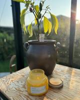 Beliani - DELIGHT BLISS - Geurkaars - Gouden appel - Soja wax - thumbnail