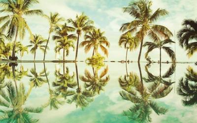 Noordwand Komar Pure Fotobehang Key West - P012-VD4