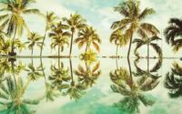 Noordwand Komar Pure Fotobehang Key West - P012-VD4 - thumbnail