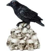 Kraai op Schedels Woonaccessoire - thumbnail