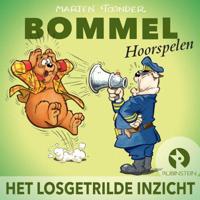 Het losgetrilde inzicht - thumbnail