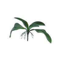 Kunst Orchid leaves & roots lvs green - 35 cm Kunstplant Erutan Avon - Erutan avon - thumbnail