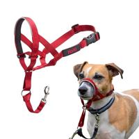 Trainingshalsbanden voor honden Company of Animals Halti Muilkorf (31-40 cm) - thumbnail