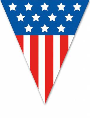 Vlaggenlijn 5 meter 10 vlaggen USA