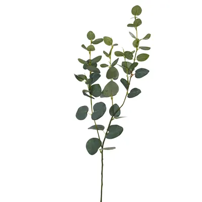 Pure Royal kunsttak eucalyptus 75cm groen Pure Royal kunsttak eucalyptus 75cm groen