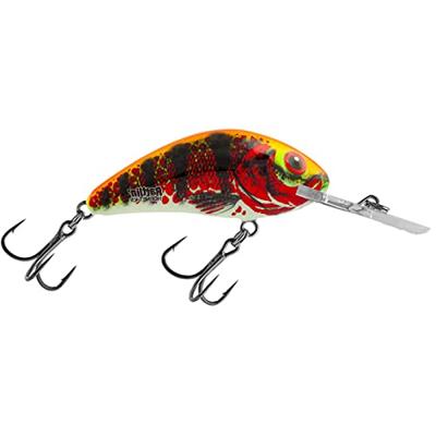 Salmo Rattlin Hornet 5.5Cm Holo Red Perch