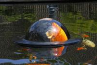 Pond dome Ø 56x24cm - thumbnail