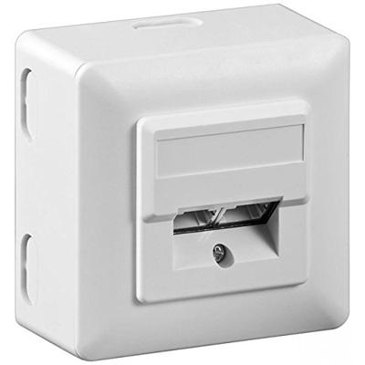 RJ45 Wandcontactdoos Opbouw - 2x RJ45 - CAT-5e - Incl. Afdekraam - Afgeschermde Netwerkdoos - 10 Gigabit - Wit