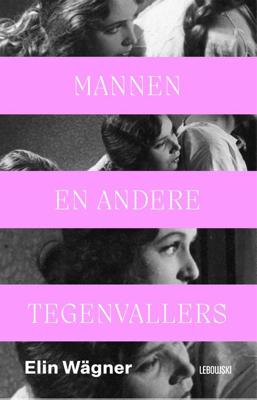 Mannen en andere tegenvallers - Elin Wägner - ebook