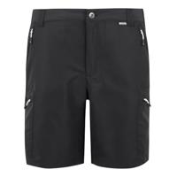Regatta Leesville III Shorts - thumbnail