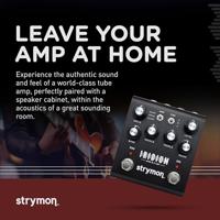 Strymon Iridium Amp Modeler & Impulse Response Cabinet - thumbnail