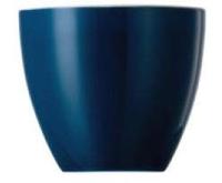 THOMAS - Sunny Day Petrol - Eierdopje - thumbnail