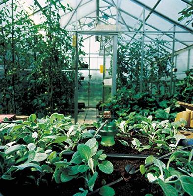 Blumat Blumat Maxi Set voor 12 planten