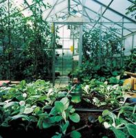 Blumat Blumat Maxi Set voor 12 planten - thumbnail