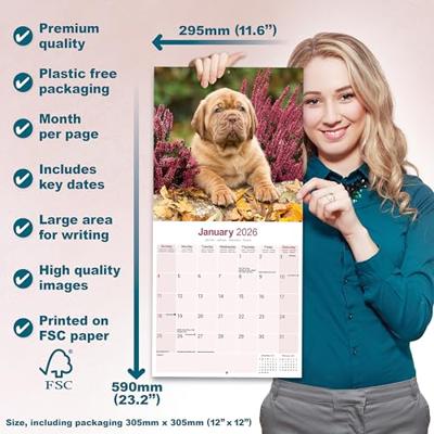 Bordeaux Dog Kalender 2026