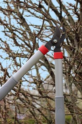 Snoeiset takkenschaar snoeischaar koolstofstalen messen Talen Tools - Talentools