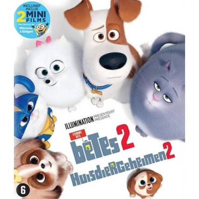 Huisdiergeheimen 2 - Blu-Ray (5053083185169)