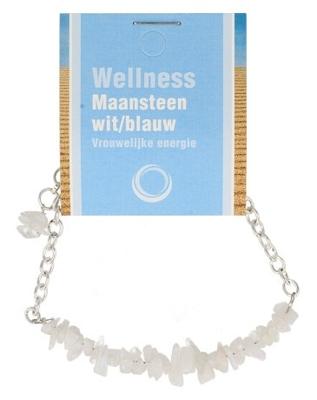 Edelsteen Armband Regenboog Maansteen Bararmband met Uitlegkaart