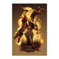Poster House of the Dragon - Fire and Blood 61x91,5cm - thumbnail