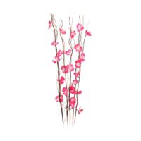 Decoratieve plant - thumbnail