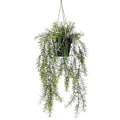 Emerald kunstplant hangend in pot asparagus 50 cm
