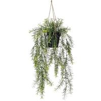 Kunst Hangplant Asparagus 40cm - thumbnail