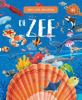 Rebo Publishers De zee - wat, hoe en waarom