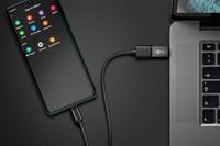 Wentronic 56621 USB-C USB 3.0 female (Type A) Grijs kabeladapter/verloopstukje - thumbnail